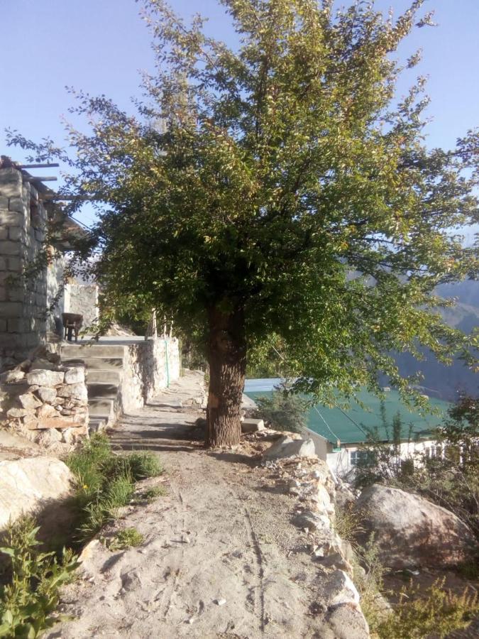 Venus Mountain Resort, Hunza Karimabad  エクステリア 写真